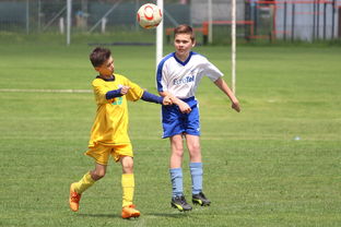 斯洛伐克队在比赛中遭遇困难,斯洛伐克队在比赛中遭遇困难的原因 第2张 斯洛伐克队在比赛中遭遇困难,斯洛伐克队在比赛中遭遇困难的原因 第2张