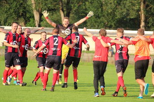 斯洛伐克队在比赛中遭遇困难,斯洛伐克队在比赛中遭遇困难的原因 第3张 斯洛伐克队在比赛中遭遇困难,斯洛伐克队在比赛中遭遇困难的原因 第3张